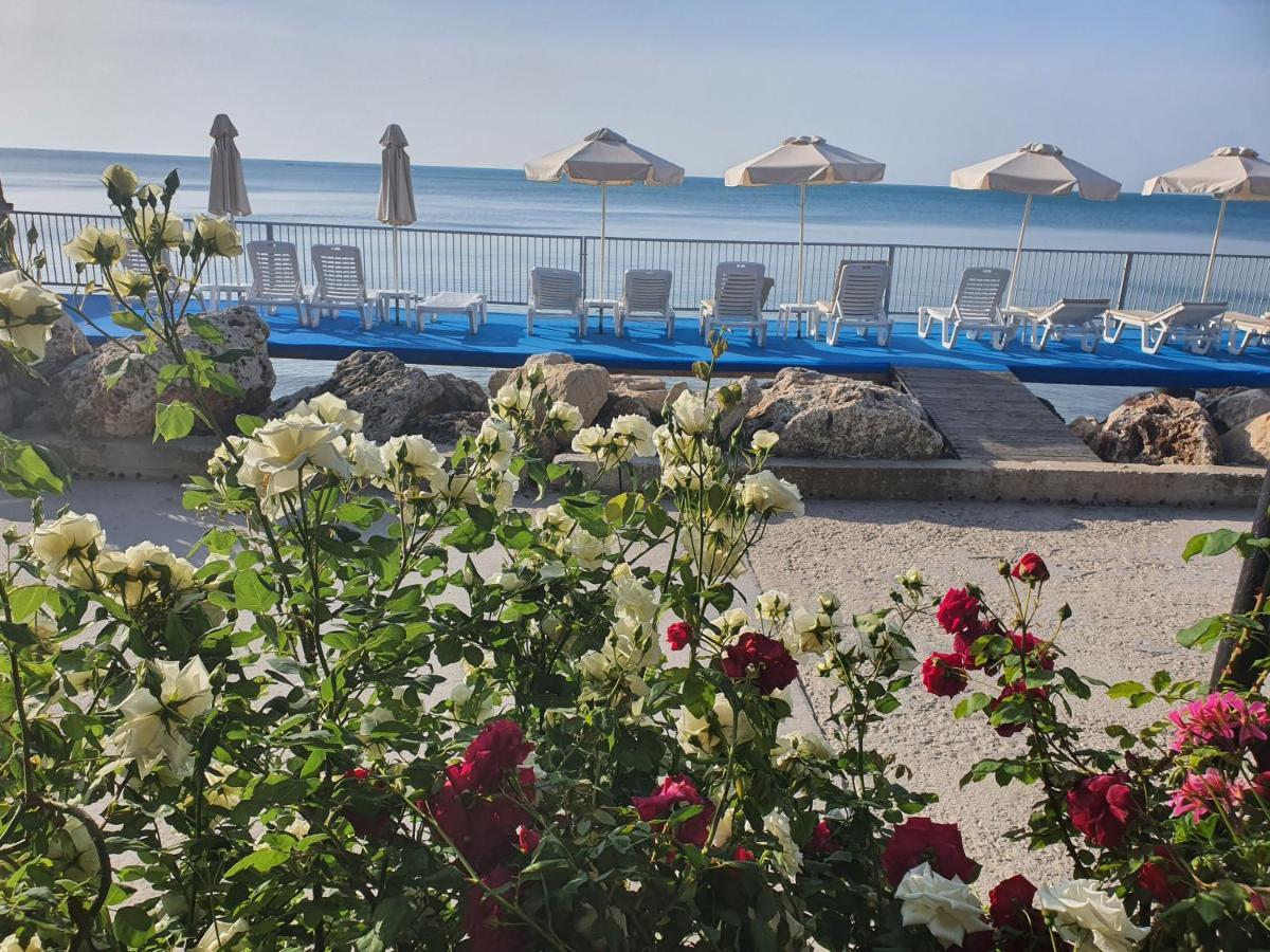 Regina Maria Spa Design Hotel Balcsik Kültér fotó
